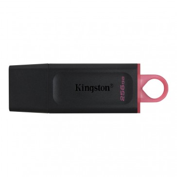 MEMORIA USB KINGSTON EXODIA 256GB 3.0 (Electrodomesticos)